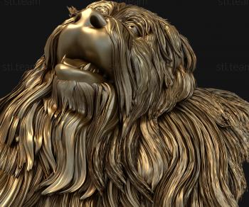 3D model Shaggy dog (STL)